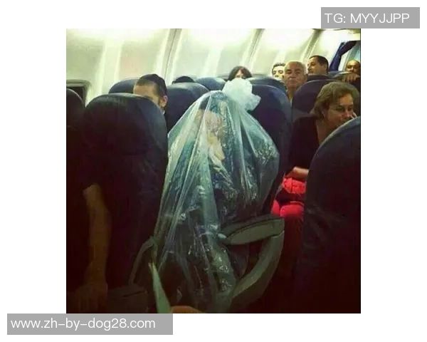 足球场上的爆笑球星盘点笑料百出趣事不断让你捧腹不停